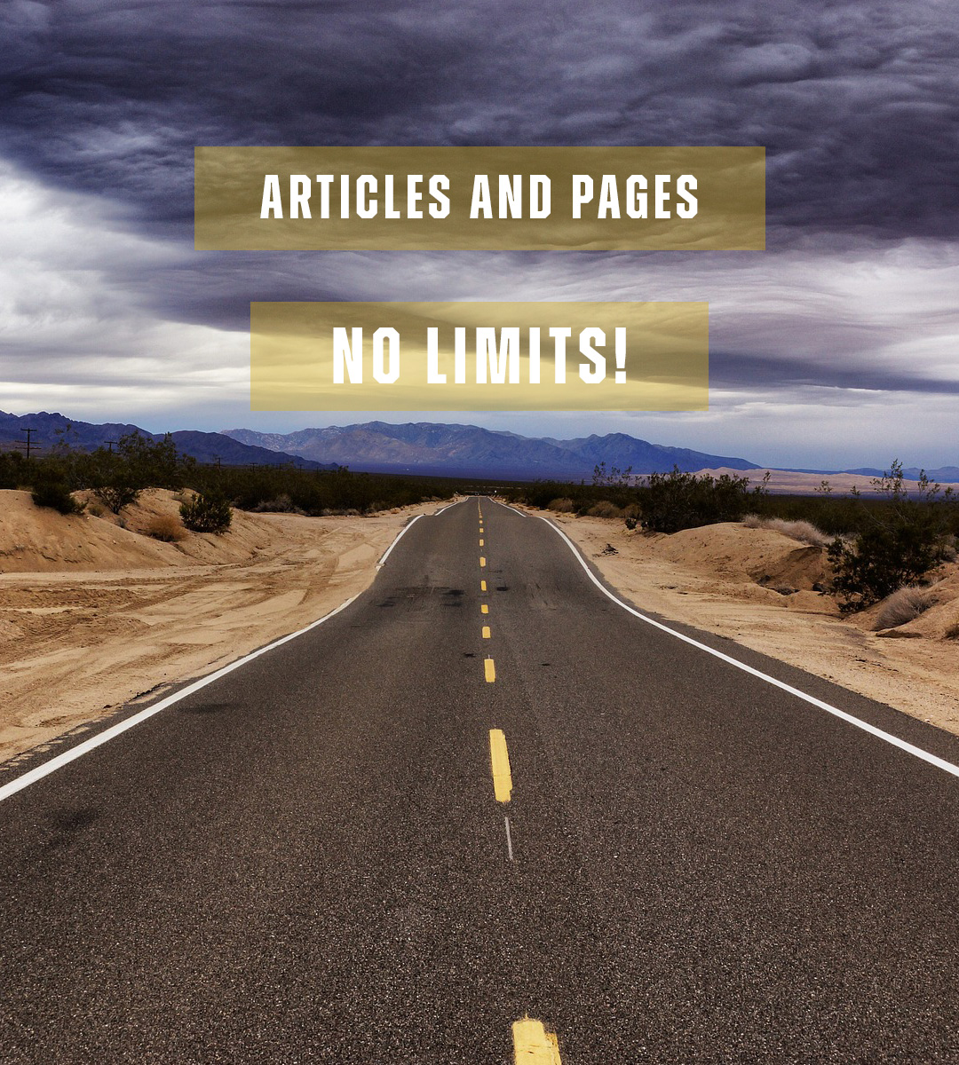 no limit articles